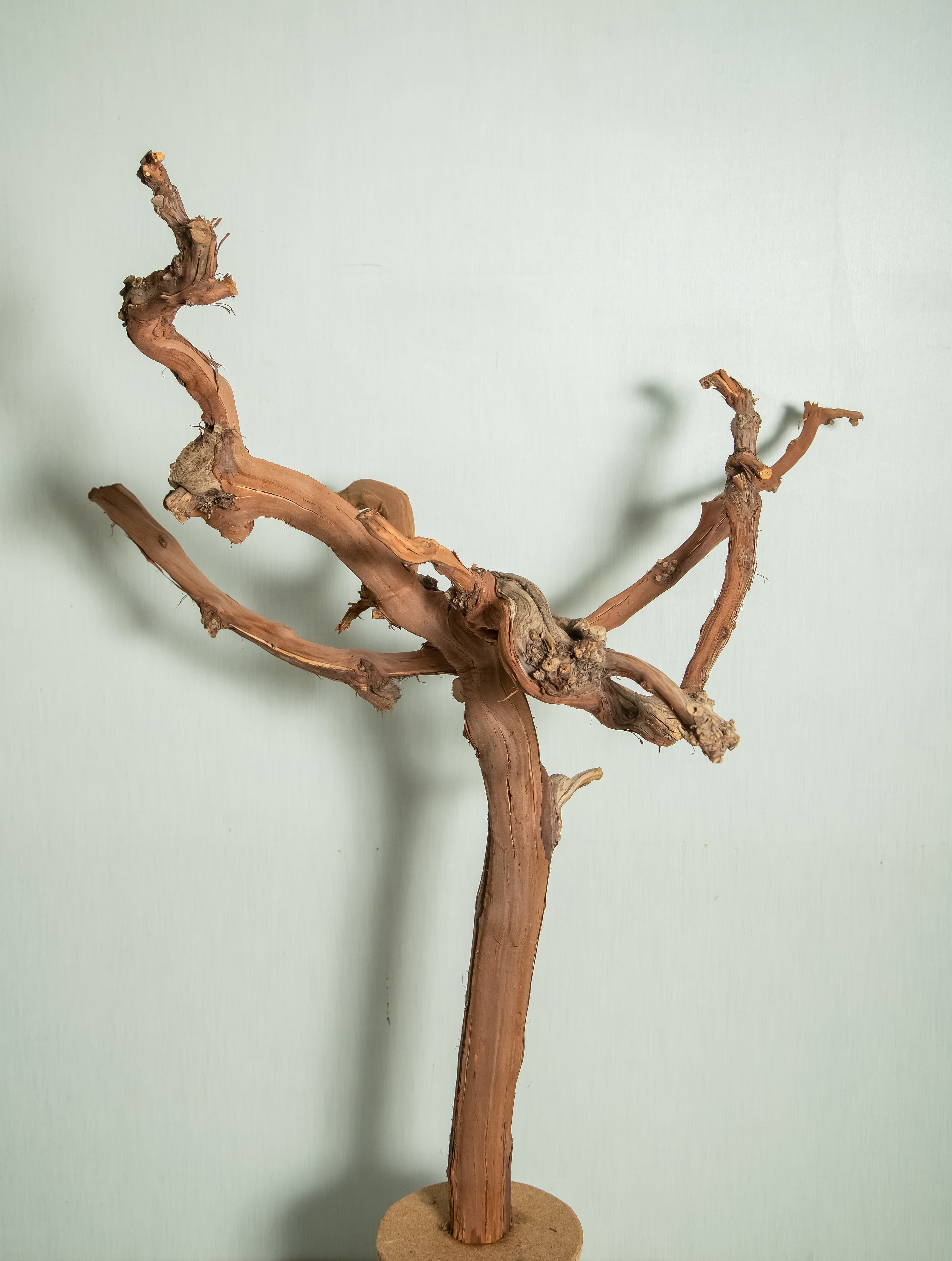 عریان — نمای دوم