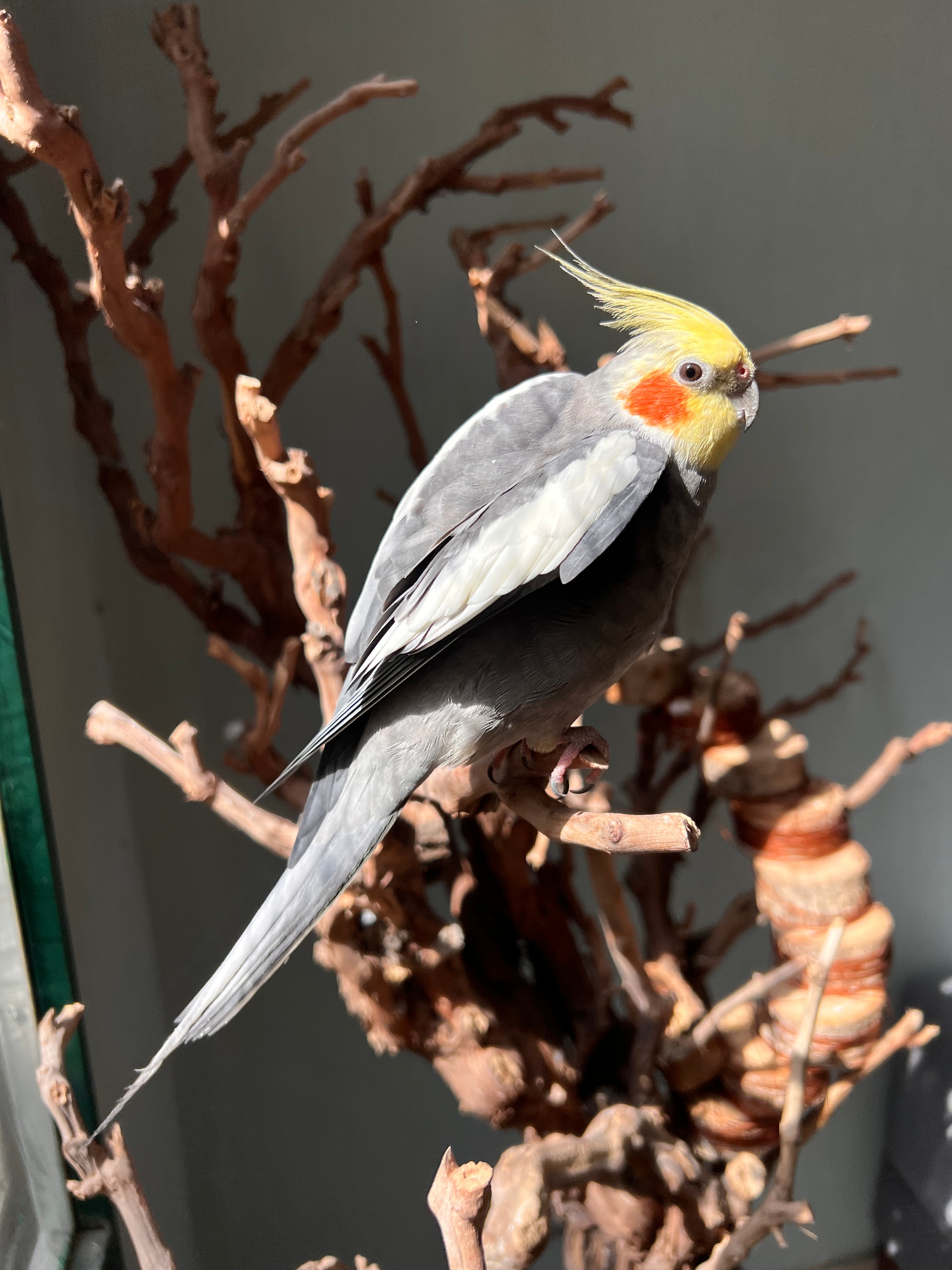 عکس جامعه از خانه‌های نمکینگ 3